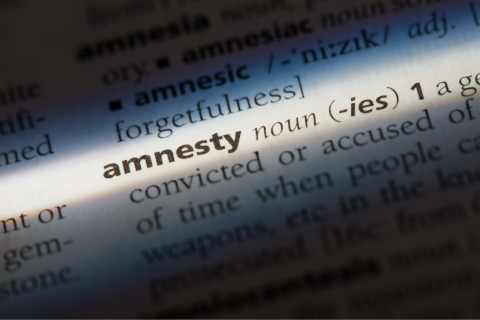 amnesty highlighted on dictinary